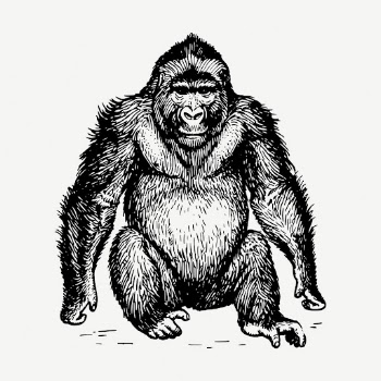 Gorilla, wild animal collage element, | Free PSD - rawpixel