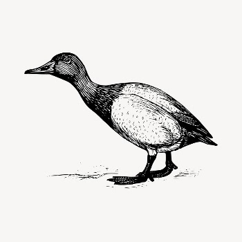 Gosling bird clipart, vintage hand | Free Vector - rawpixel