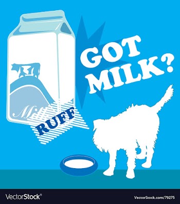 Got milk vector image