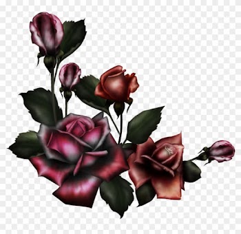 Gothic Rose Png Pic - Gothic Rose Png