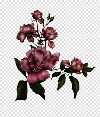 Gothic Rose Transparent Background
