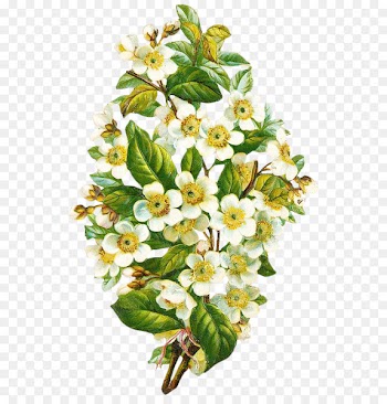 Gottorfer Codex Botanical illustration Painting Illustration - Vintage floral botanical 