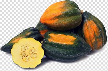 Gourd Acorn squash Cucurbita Winter squash Pumpkin, Acorn Squash transparent background PNG clipart