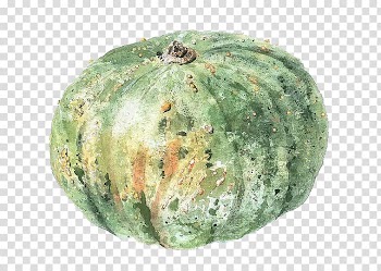 Gourd Cucurbita maxima Calabaza Pumpkin Winter squash, Creative fresh pumpkin transparent background PNG clipart