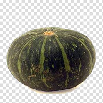 Gourd Customer review Amazon.com Pillow, Cucurbita Pepo transparent background PNG clipart