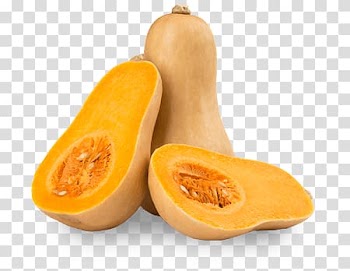 Gourd fruits, Butternut Squash transparent background PNG clipart