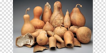 Gourd Mate Shallot Vegetable Calabash, vegetable transparent background PNG clipart