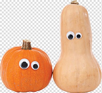 Gourd Pumpkin Cucurbita Autumn Calabash, thanksgiving transparent background PNG clipart