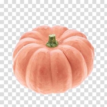 Gourd Pumpkin pie Winter squash Cucurbita, pumpkin transparent background PNG clipart