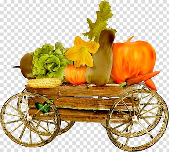 Gourd Pumpkin Vegetable , pumpkin transparent background PNG clipart