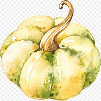 Gourd Pumpkin Winter squash Watercolor painting - Painted pumpkin 