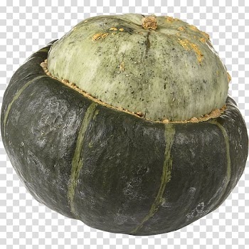 Gourd Winter squash Cucurbita Calabaza Melon, melon transparent background PNG clipart