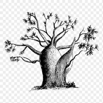 Gouty stem tree png sticker | Free PNG - rawpixel