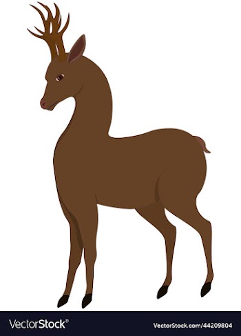graceful brown deer