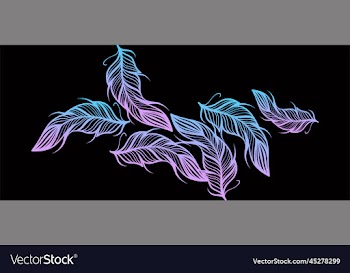 gradient feathers dark background design wallpaper