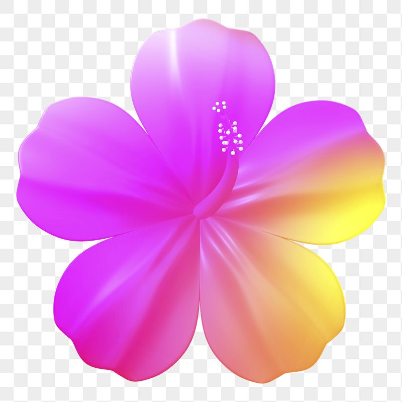 Gradient hibiscus png sticker, 3D | Free PNG - rawpixel