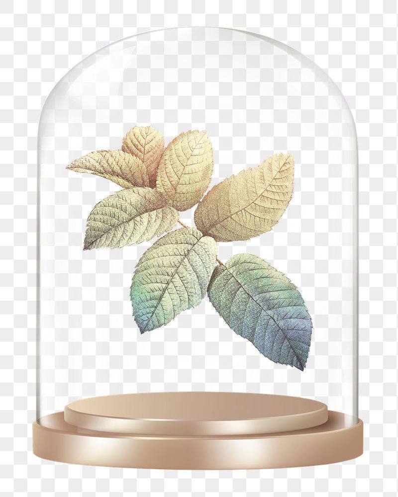 Gradient leaf branch png glass | Free PNG - rawpixel