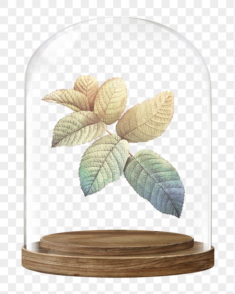 Gradient leaf branch png glass | Free PNG - rawpixel