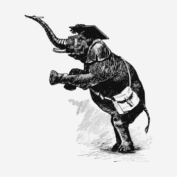 Graduate elephant hand drawn illustration. | Free Photo - rawpixel