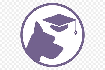Graduation ceremony Portable Network Graphics Graduate University Academic degree Square academic cap - asset symbol 