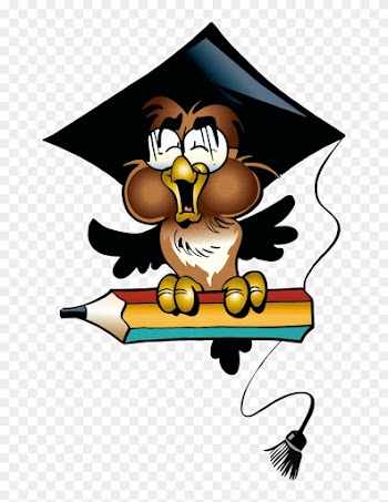 Graduation~ Owl Escola &amp; Formatura - Little Owl