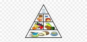 Grain Clipart Balanced Diet - 5 Food Groups Table