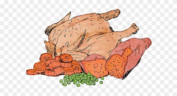 Grain Free Puppy Food Chicken With Sweet Potato Carrots - Food
