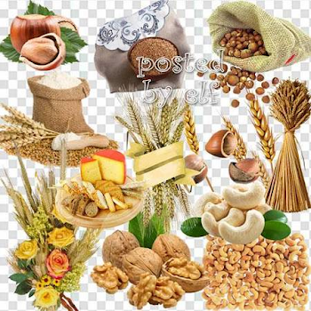 Grain png, cereals png, nuts png, acorns png ( 30 png images ...