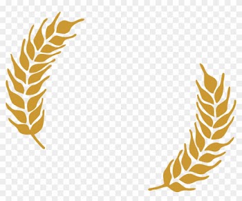 Grains Clipart Leaf - Brew Kettle Wheat Beer