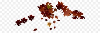 Grand Jatra Hotel Balikpapan J Cuvee Lounge and Bar J iCon Hip Hotel Autumn - Transparent Red Fall Leaves PNG Image 