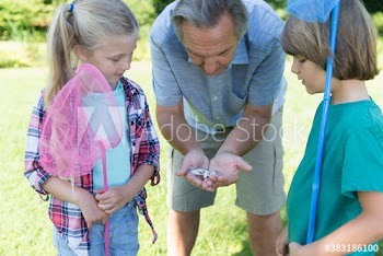 Grandfather and grandkids catching butterflies with nets