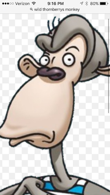 Grandma Wrinkles on Twitter: "this snapchat filter makes you look ...