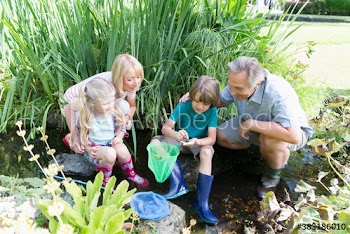 Grandparents and grandkids catching fish with nets
