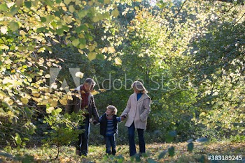 Grandparents and grandson walking in woods
