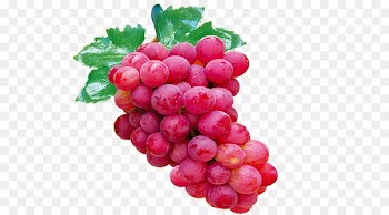 Grape Auglis Icon - red grapes 