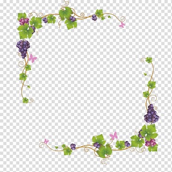 Grape Auglis Vine, Hand painted fruit menu lace transparent background PNG clipart