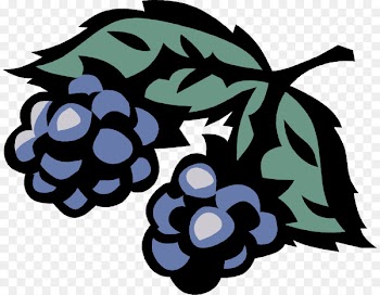 Grape Berries Clip art Illustration Email - grape 