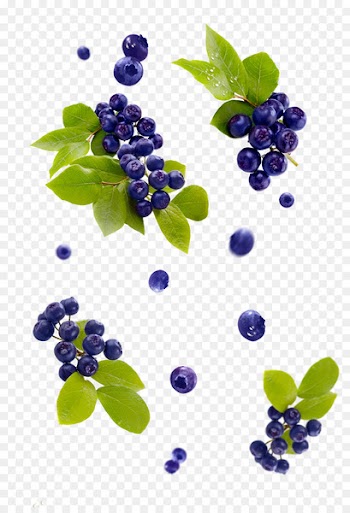 Grape Bilberry Blueberry Juice American Muffins - grape 