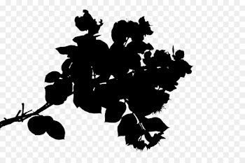 Grape Desktop Wallpaper Clip art Silhouette Line -  