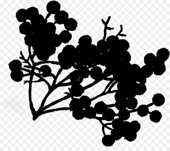 Grape Desktop Wallpaper Pattern Clip art Silhouette -  
