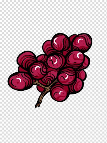 Grape Fruit Auglis, Lines of fruit grapes transparent background PNG clipart