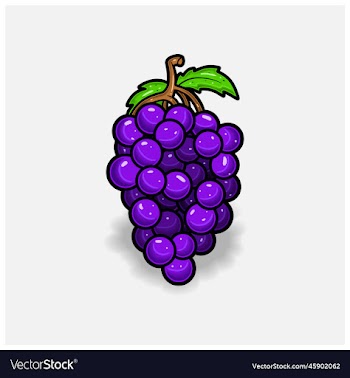 grape fruit cartoon with simple gradient and