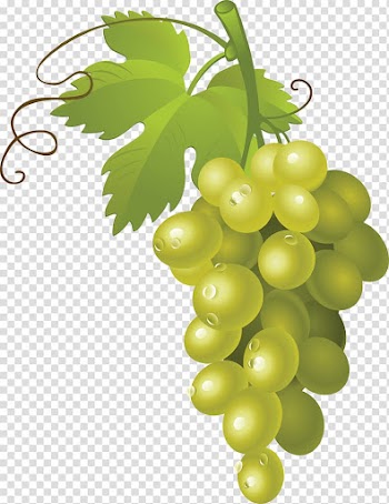 Grape Fruit , Grape transparent background PNG clipart