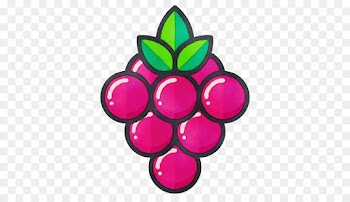 grape fruit pink grapevine family magenta
