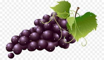 grape grape leaves fruit seedless fruit grapevine family