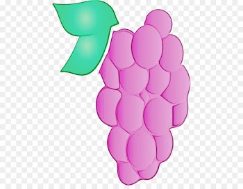grape grapevine family clip art pink vitis