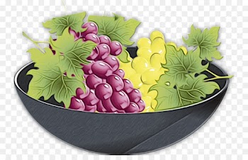 grape grapevine family grape leaves fruit plant