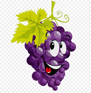 grape grapevine family purple violet vitis