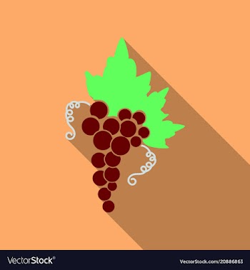 Grape icon food fruits silhouette of icon with vector image