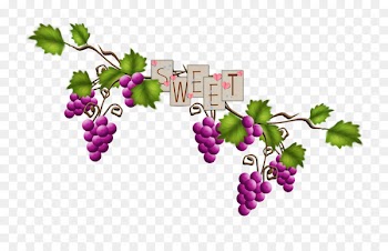 Grape Image Portable Network Graphics Vector graphics Clip art - grape 